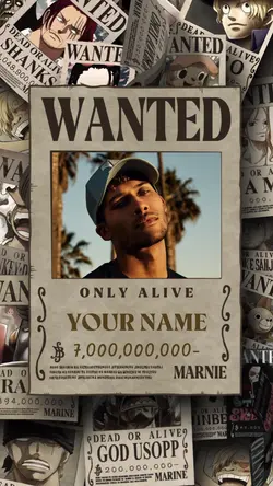 ONE PIECE WANTED