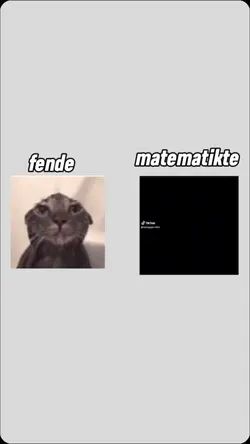 matematik müüpp