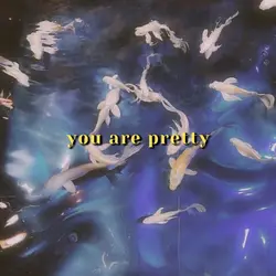 not around — nova 