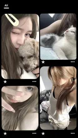 khung pinterest
