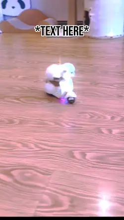 They see me rollin'