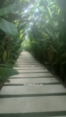 Path to light
