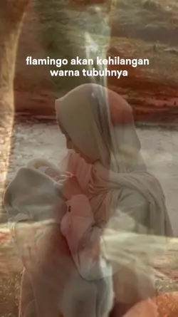 Tahukah kamu