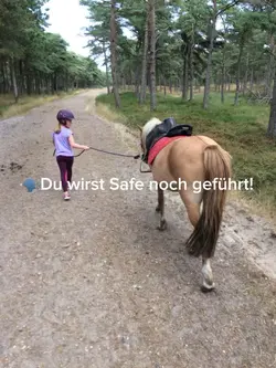 Safe noch geführt