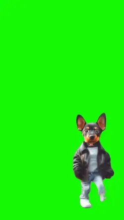 perrito bailando