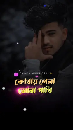 কোথায় গেলা সোনাপাখি