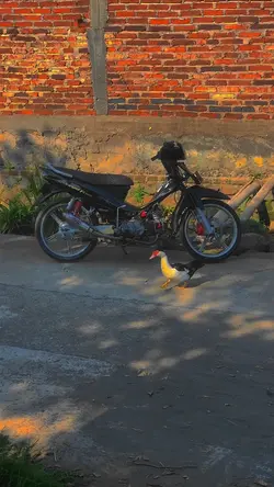 VEGA R 110