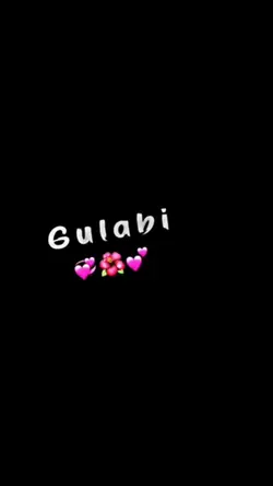 Gulabi Saree 