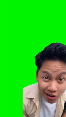 Green screen Ungarts