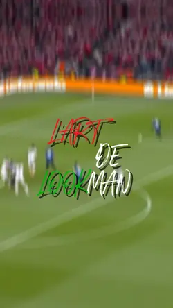 l'art de LOOKMAN 