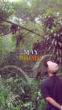 May Dump