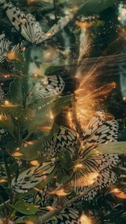 HEALING BUTTERFLIES