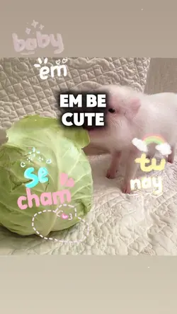 e se cham skincare