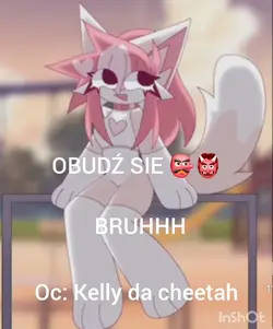 DZIŚ SPOTKANIE!!!