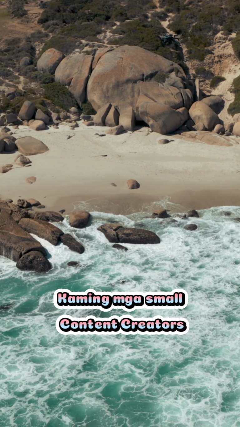 Content Creator Explaining Templates - Pippit