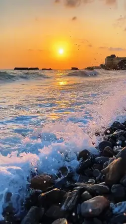 6 Videos | Photos 
