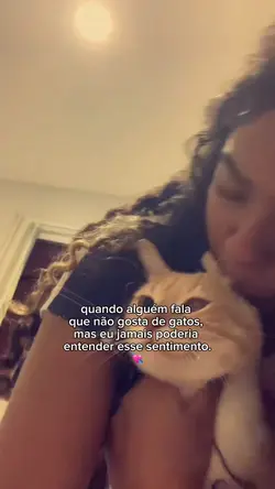amo gatos 