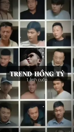 Trend Hồng Tỷ