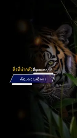 อิจฉา..หรอ?