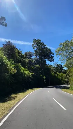 Cinematic Viral 