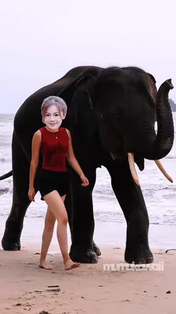เปลี่ยนหน้าเท่ๆ