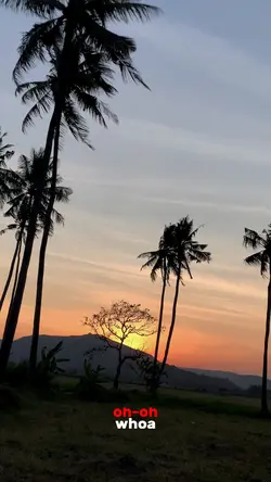whoa mind in awe