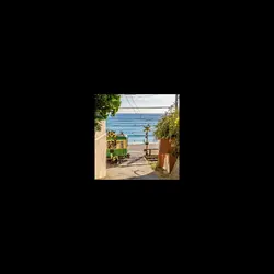 Travel Vlog