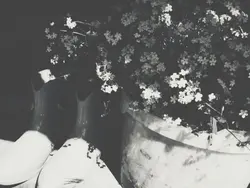 - 황현진 .