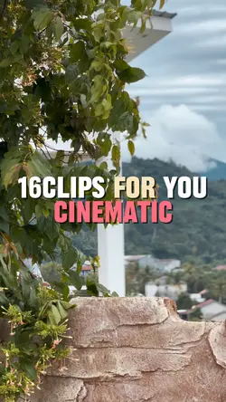 16C For You