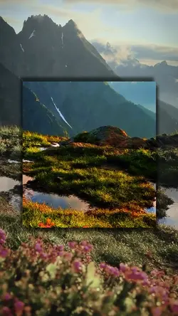 Video template 