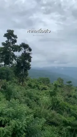 ค่อยเริ่มใหม่พรุ่งนี