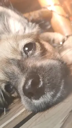 My Hardest Goodbye