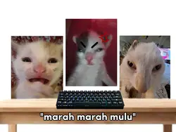 marah marah mulu