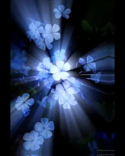 Blue black and white