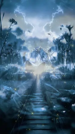 DREAM A DREAM 