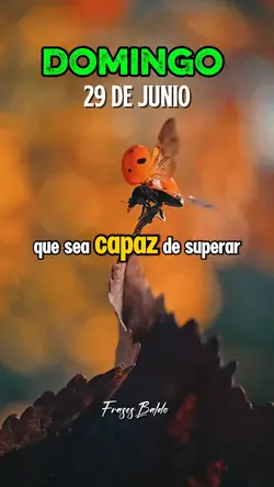Domingo 29 de Junio