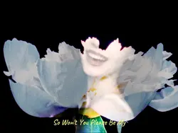 flower effect lyrics