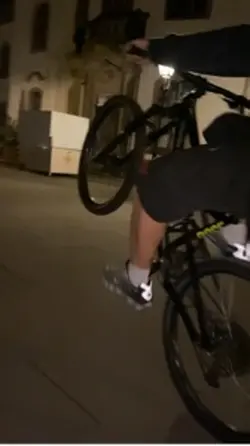 Pashanimclip