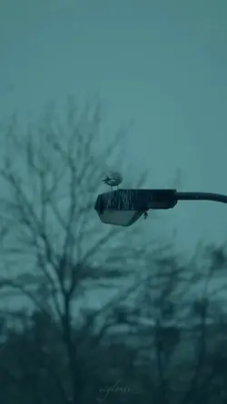 Slowmo trend 