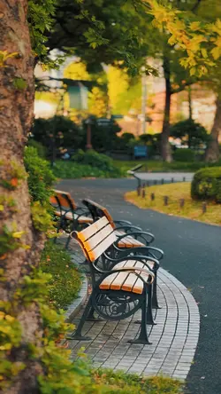Park view