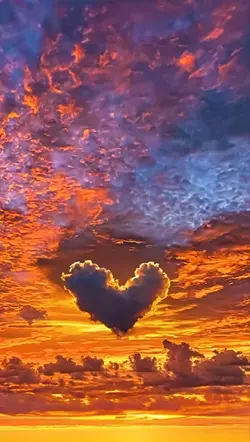 sunsett