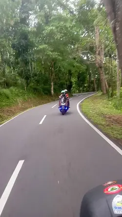 percuma