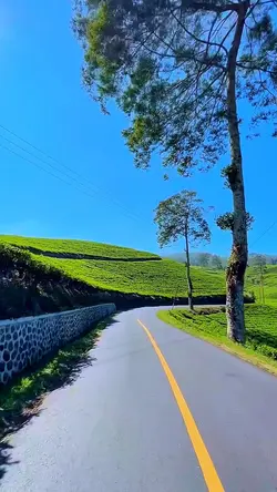 4 video HD 