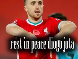 rip diogojota
