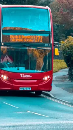 Buses templat