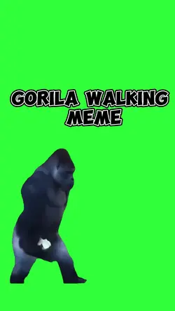 Gorila Walking Meme