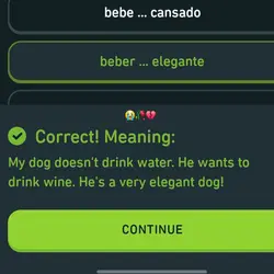 Duolingo Why