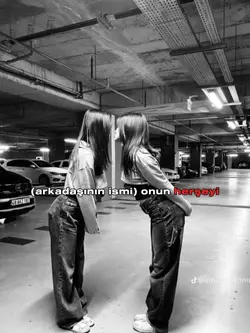 herseyii