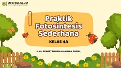 PRATIKUM | SEKOLAHAN