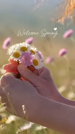 Welcome spring 2026